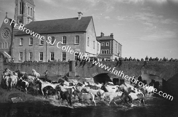 DUFFY'S CIRCUS WATERING THE HORSES IN THE RIVER